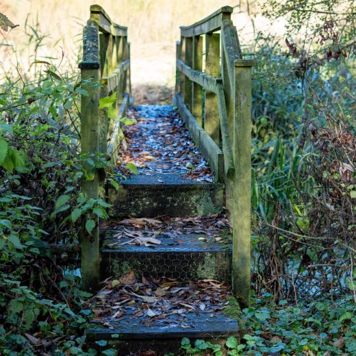 The narrow, slippery wooden bridge showing the steps preventing access for all The narrow, slippery wooden bridge showing the steps preventing access for all