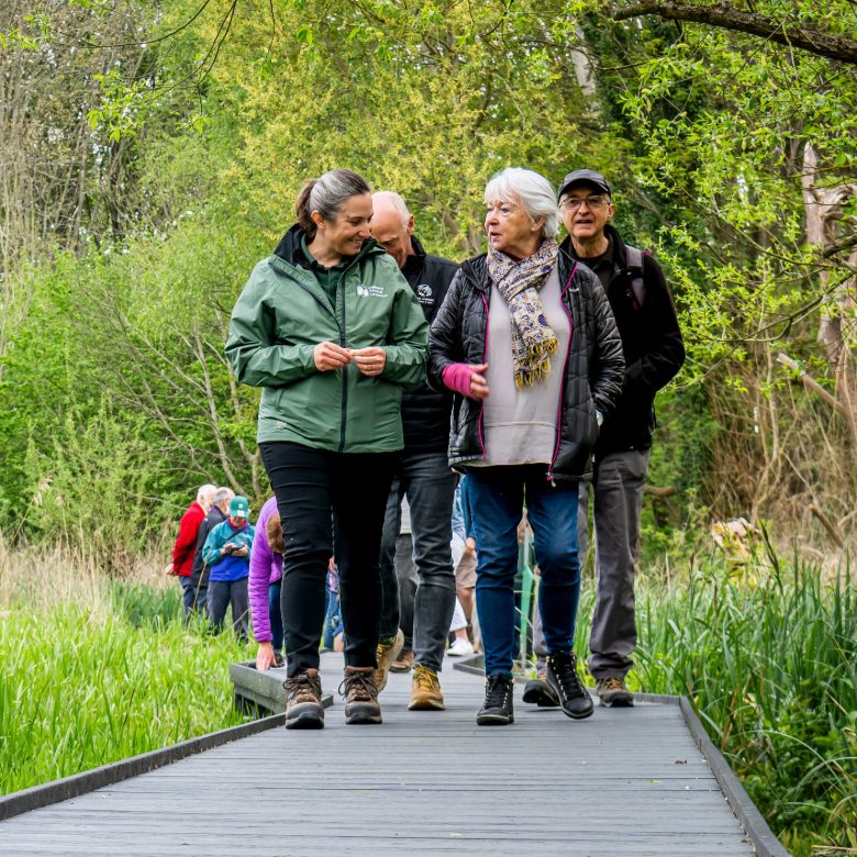Guests 'treading the boards' on the new boardwalk, with one of the grant funding team leading the way side-by-side on the wider boardwalk, with a Withymead Friend and long-time supporter.